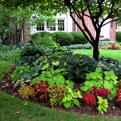 Jak ozdobić ogród kwiatowy lub klomby własnymi rękami