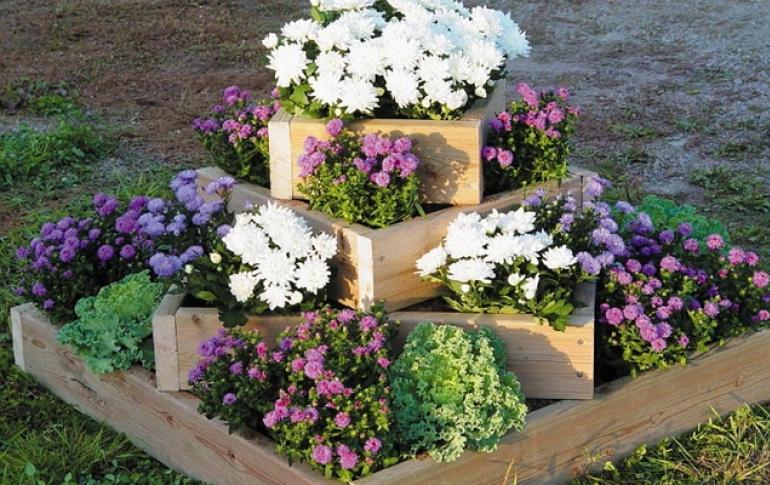 Flowerbeds and flower beds, decorated with your own hands from scrap materials (40 photos)