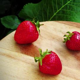 How to prepare and drink strawberry liqueur Ksyu Ksyu