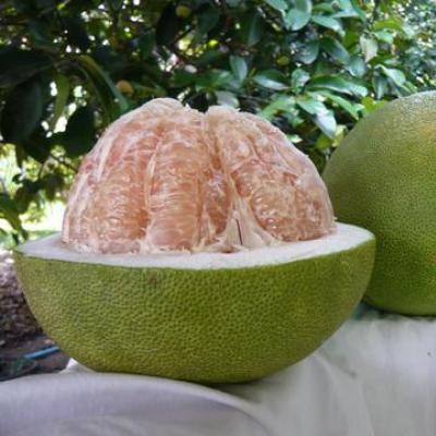 Pomelo: what it contains, how it is useful, how to clean and use