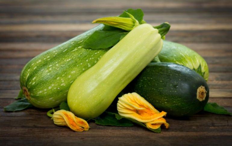 Cara menanam zucchini dari biji di lahan terbuka