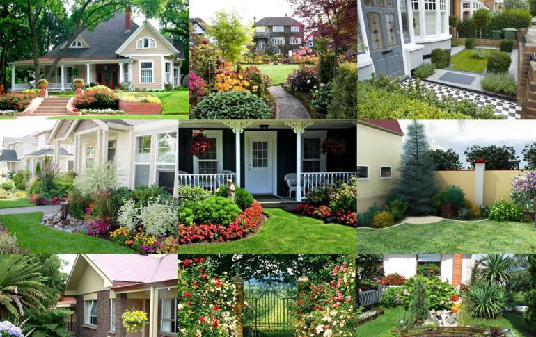 Beautiful front garden in front of the house with your own hands: your own designer